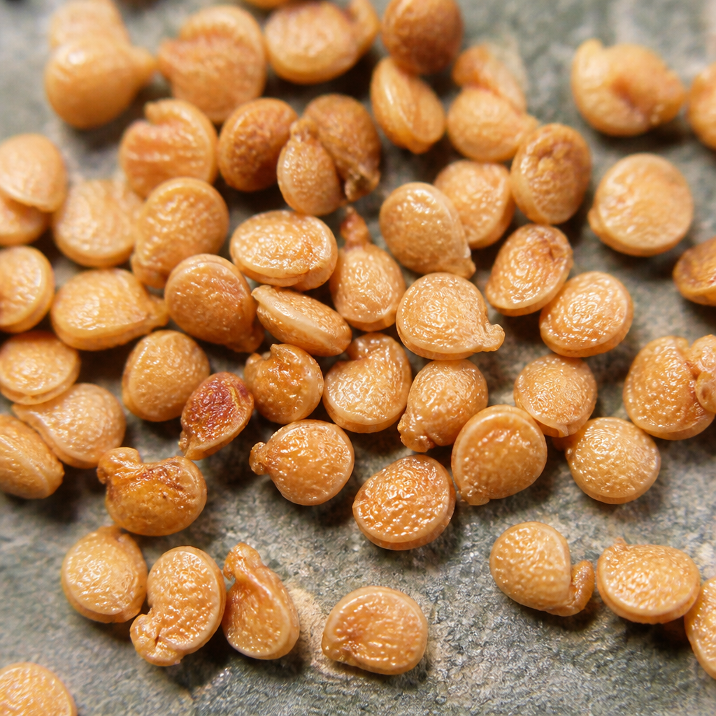 Guava Seed